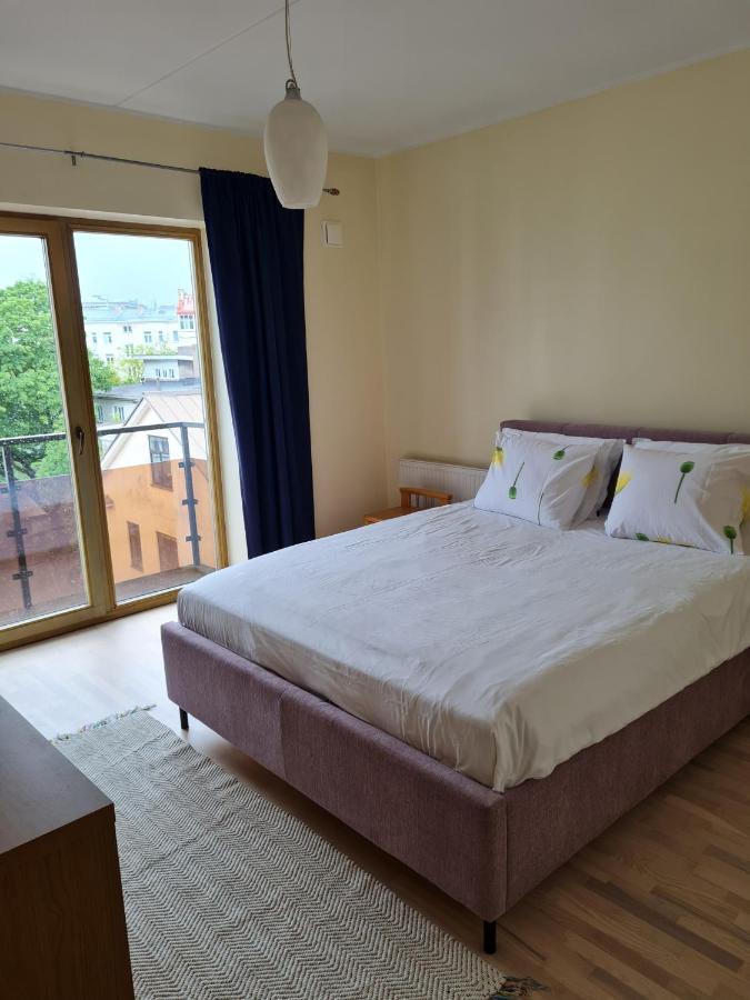 Cozy One Bedroom Apartment In City Center タリン エクステリア 写真