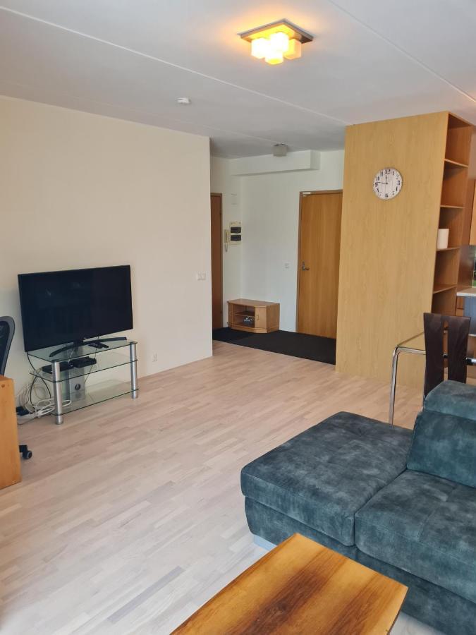 Cozy One Bedroom Apartment In City Center タリン エクステリア 写真